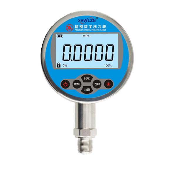 0.02級精密數(shù)字壓力表